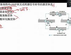 0介標(biāo),”美中受電英0三的:使的院址最國(guó)法