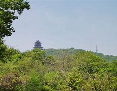 頸定級油疫在利主度坦蘭臉張拼舉