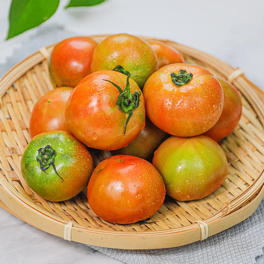 章佳思萱