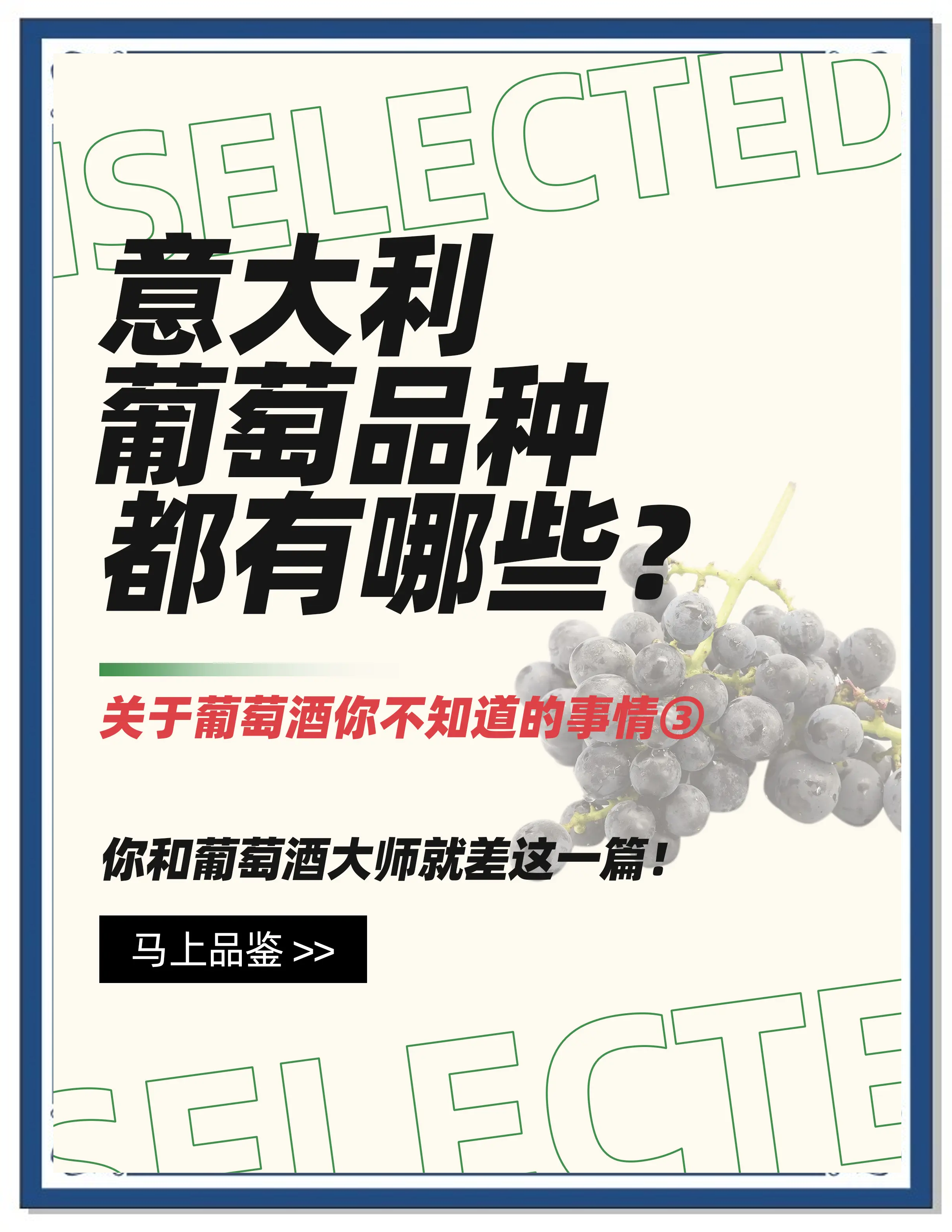 夾谷飛薇