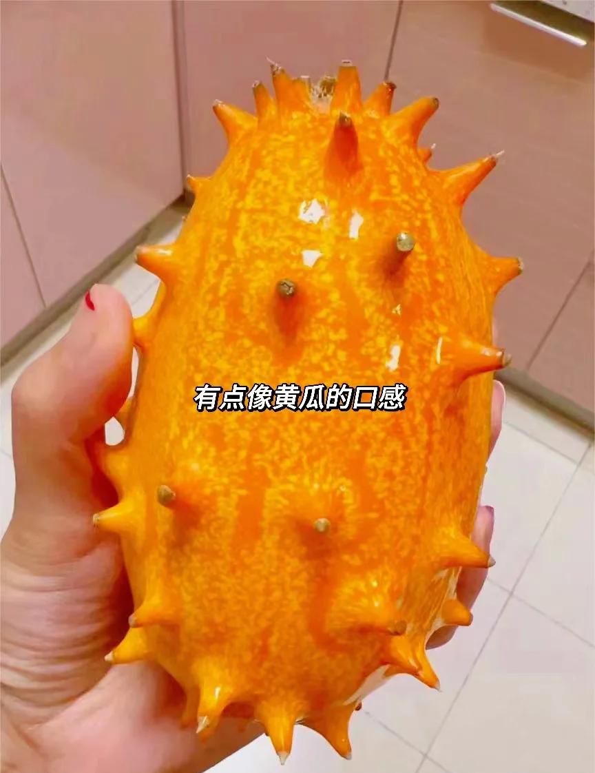 帶刺的水果火參果,肉質(zhì)細(xì)膩多籽挺好吃!