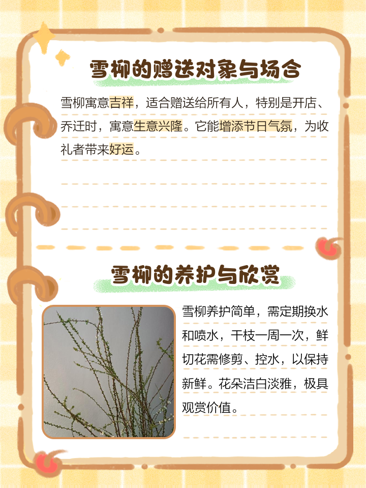 雪柳花語:知道我所有的缺點依然愛我