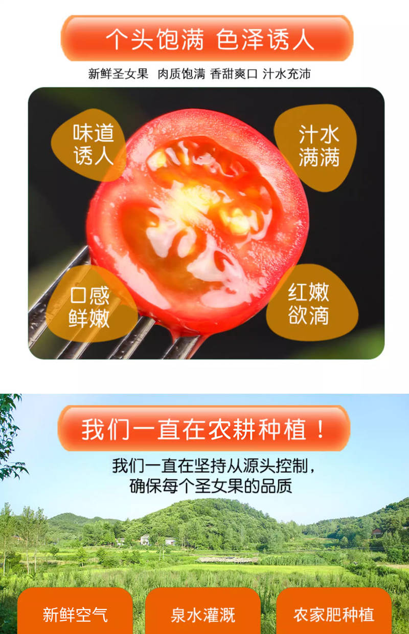 據(jù)說這個(gè)番茄是圣女果界的勞斯萊斯_蔬菜