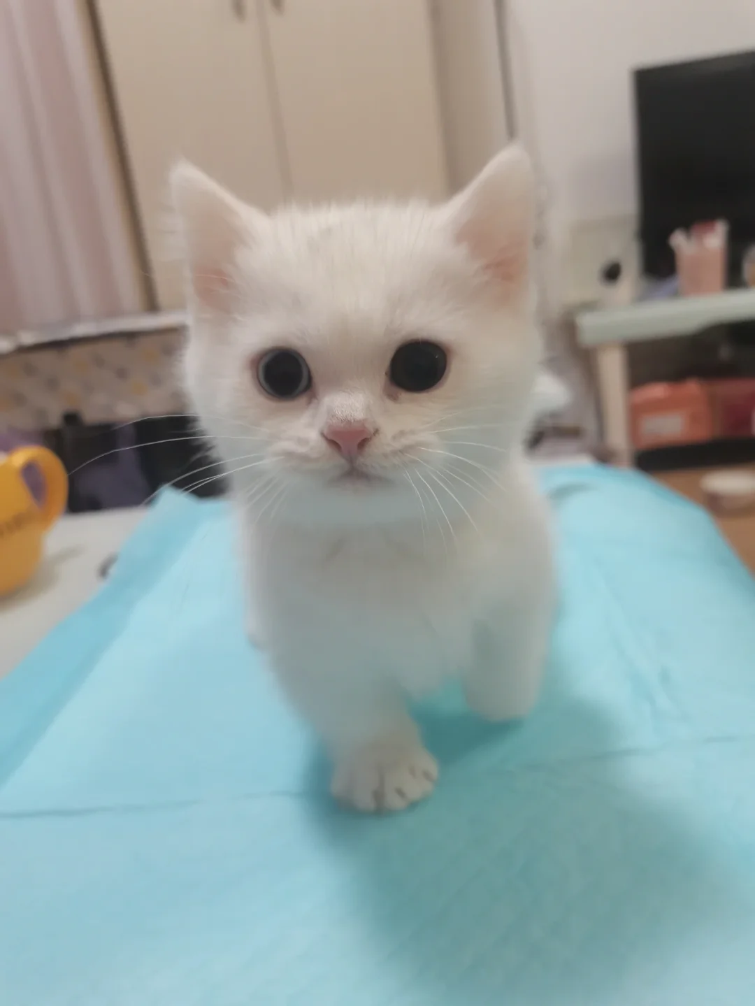 第318頁