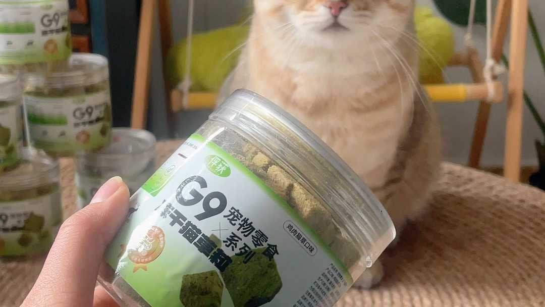 貓草罐頭助力貓咪消化_其他寵物營(yíng)養(yǎng)品