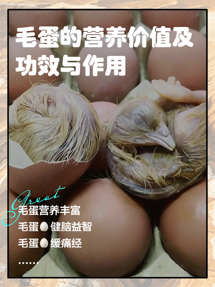 高能開(kāi)箱!開(kāi)吃毛蛋,請(qǐng)不要圍觀_蛋類(lèi)