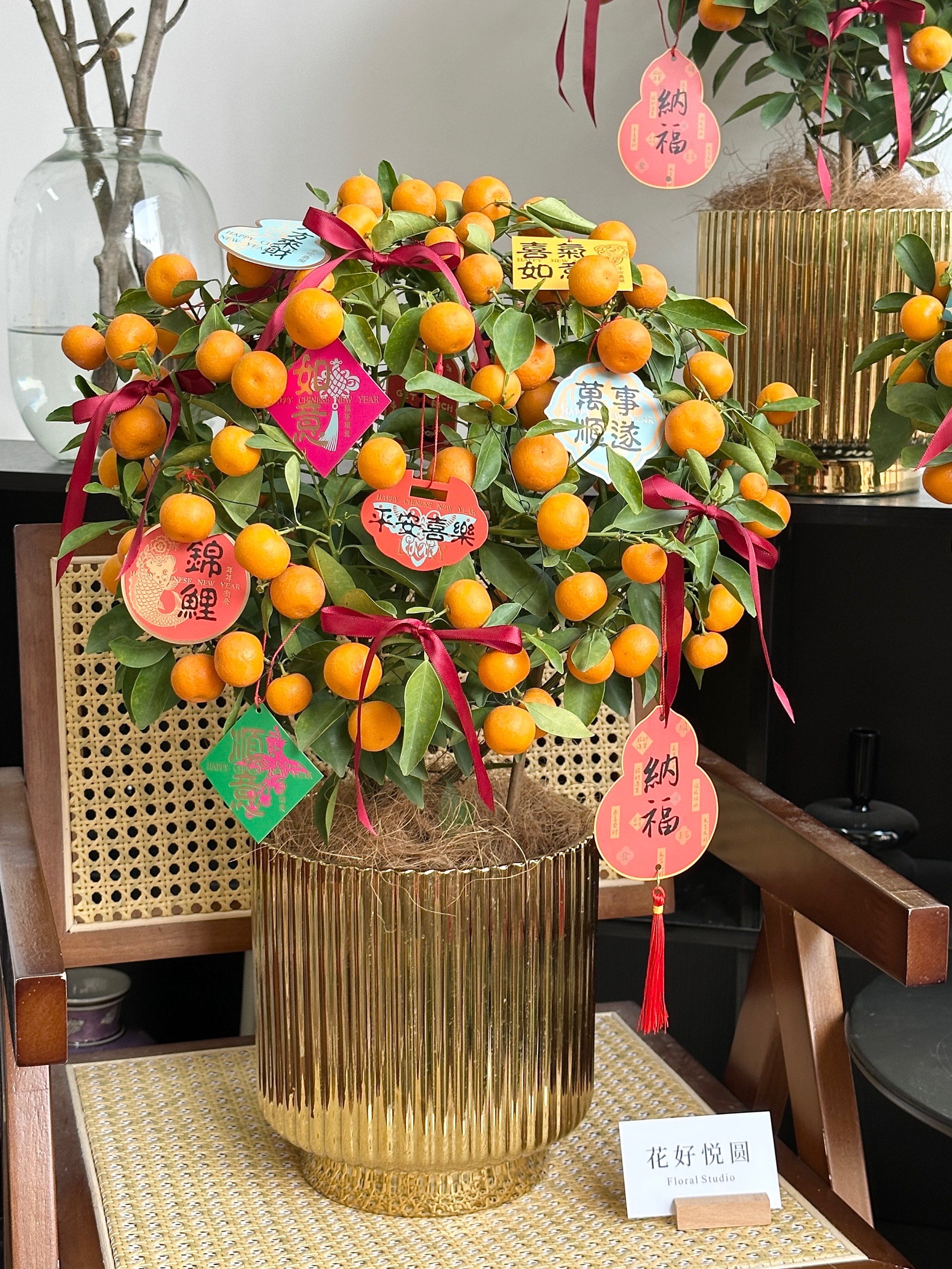小金桔的種植方法和注意事項(xiàng)_鮮花綠植