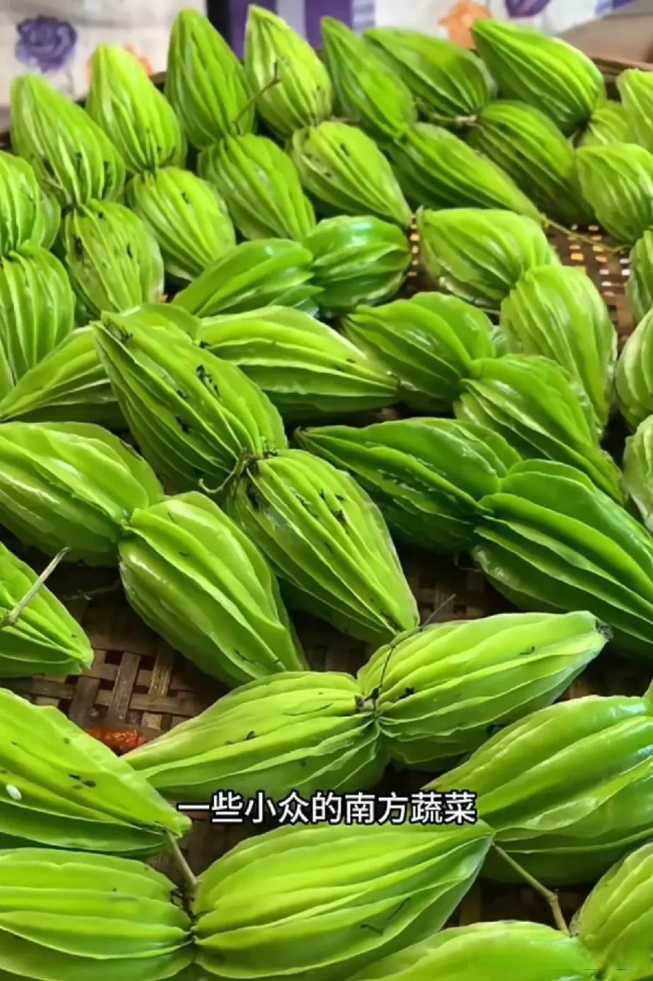 不懂就問(wèn):反季節(jié)蔬菜可以吃嗎?_蔬菜