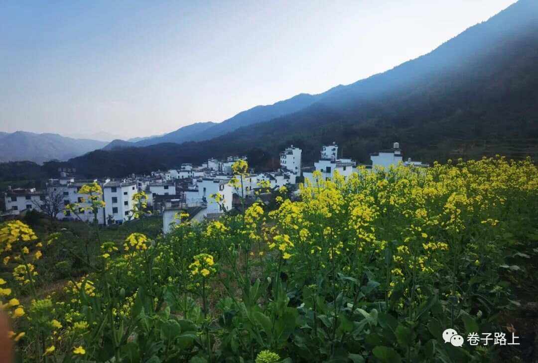 第7頁