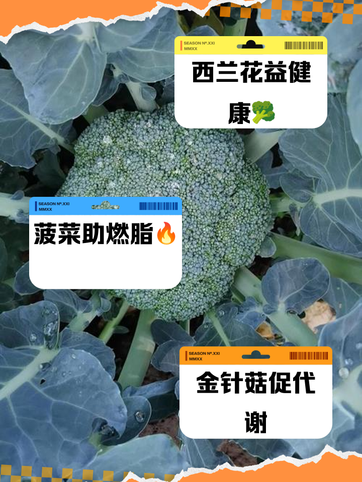 水果玉米,開(kāi)啟科學(xué)減肥靠譜之路_蔬菜