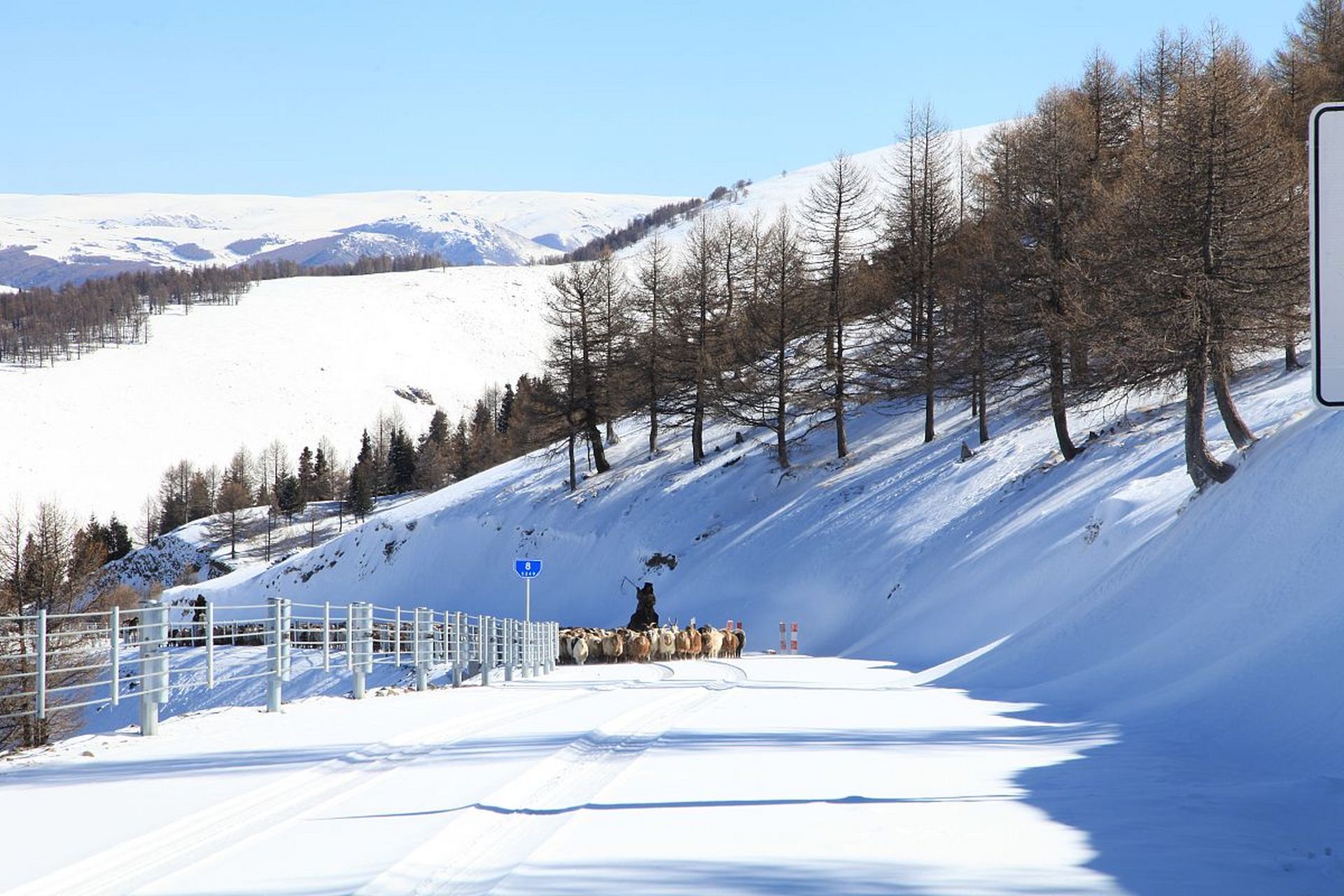 亞布力滑雪場:中國滑雪勝地的璀璨明珠