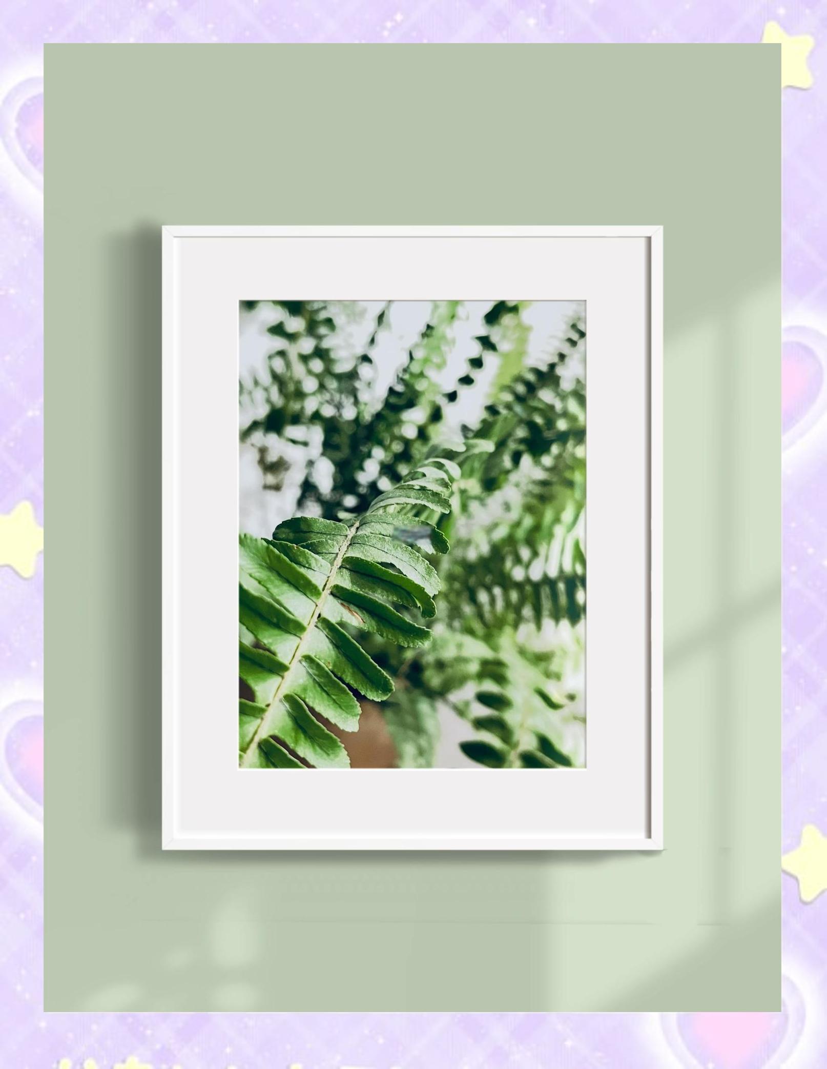 綠霸王種植方法是什么?