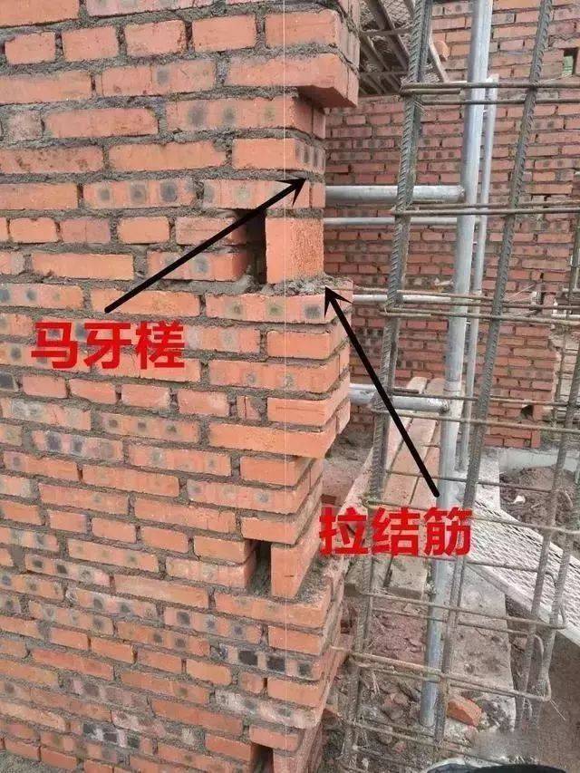 馬牙槎的做法是怎么樣的