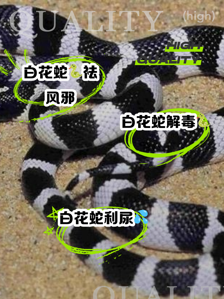 2025年5月27日 第67頁