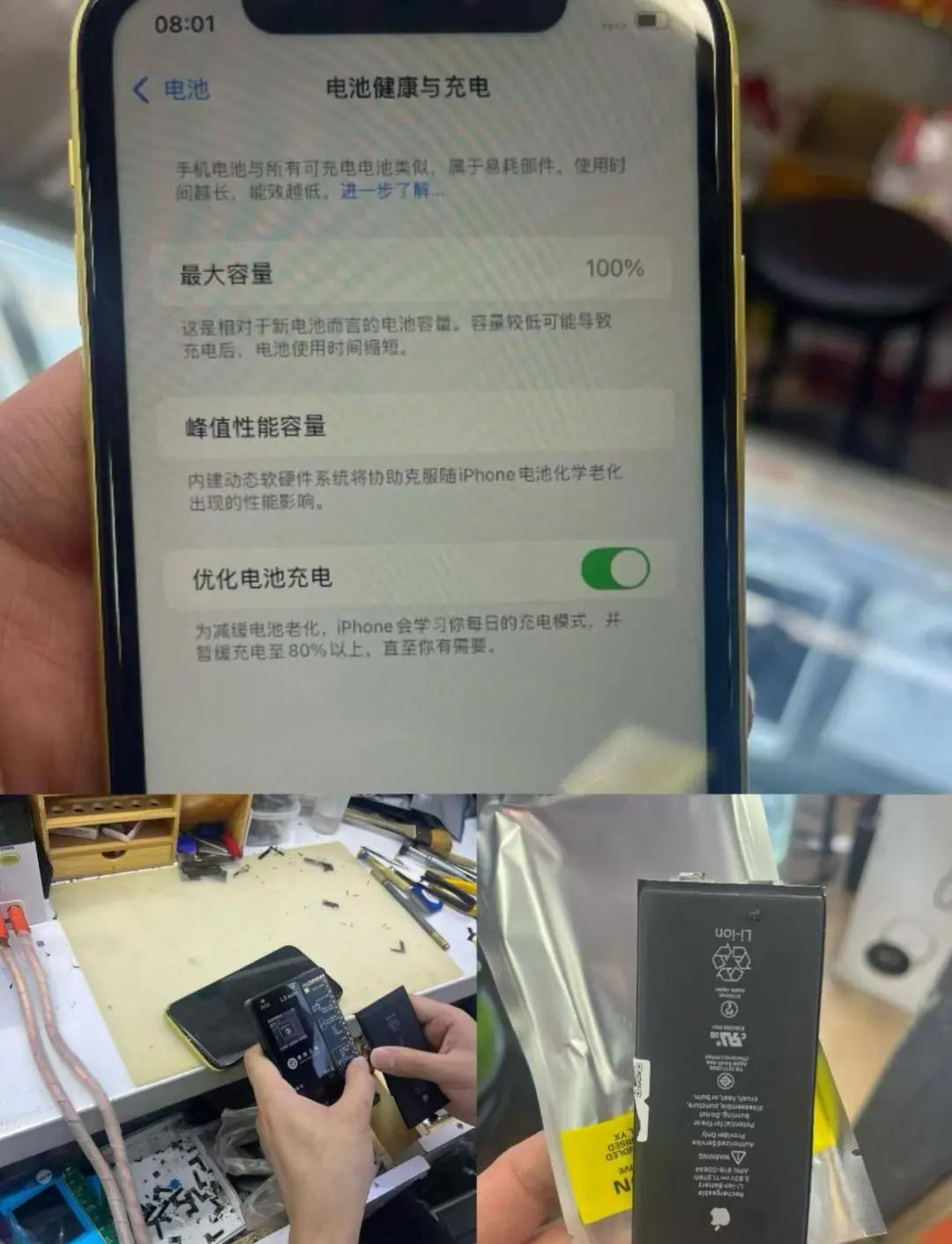 僑杉
