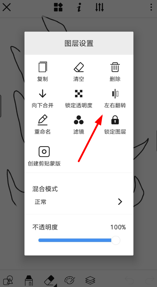 蘋果手機(jī)里的照片進(jìn)行鏡像翻轉(zhuǎn)的操作過程-軟件技巧