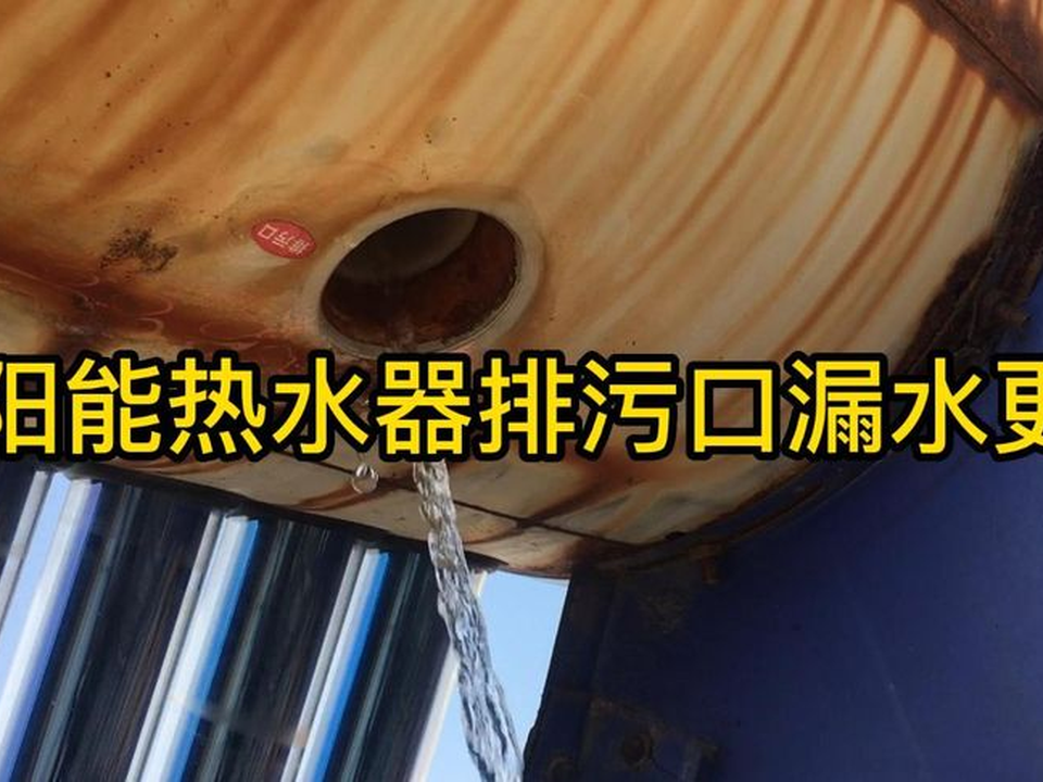 宣絹子
