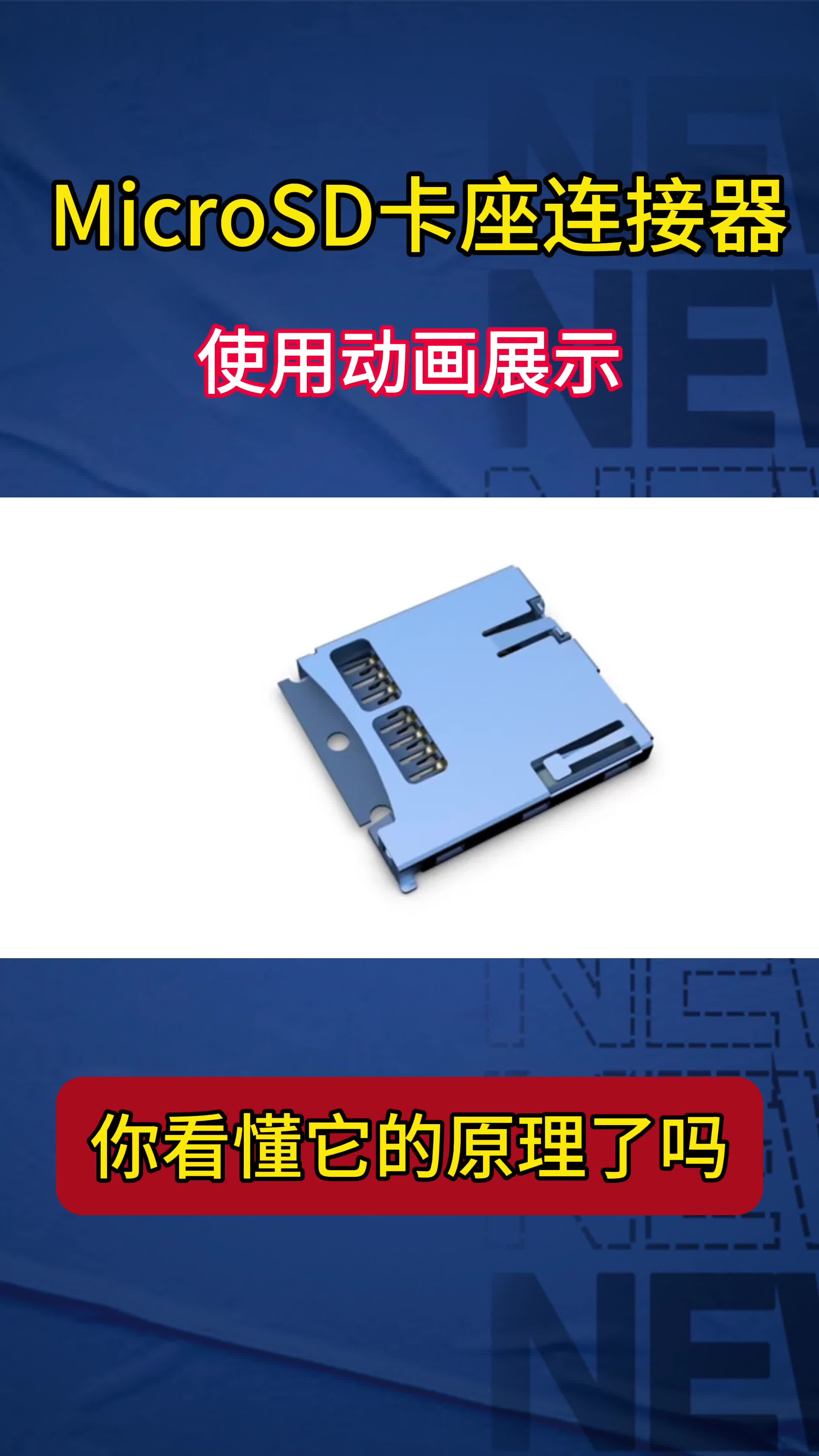 衡正豪
