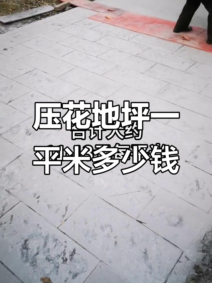 展迪