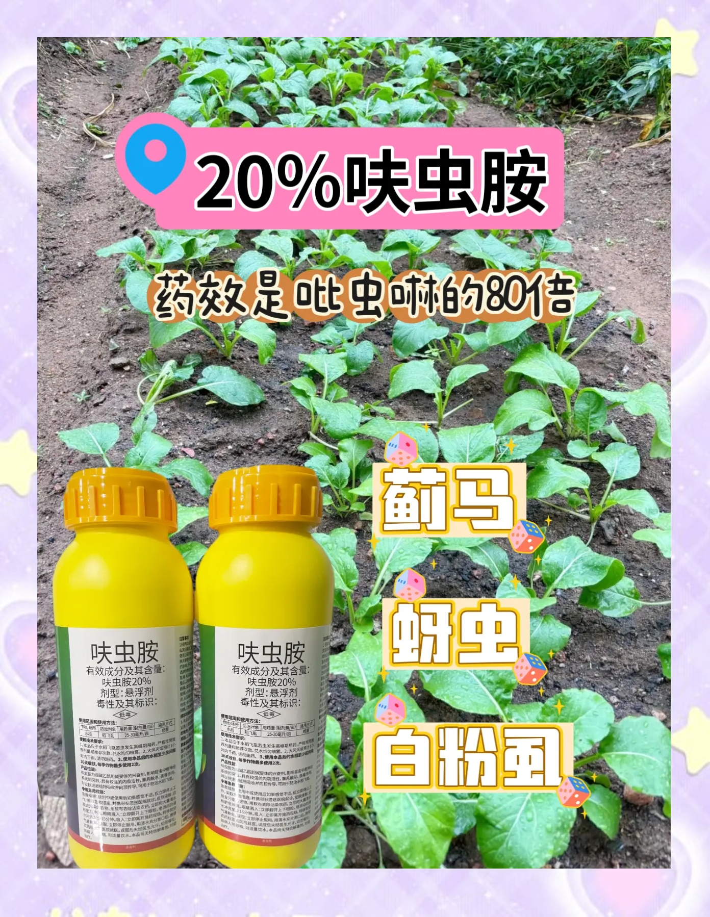 良凝雨