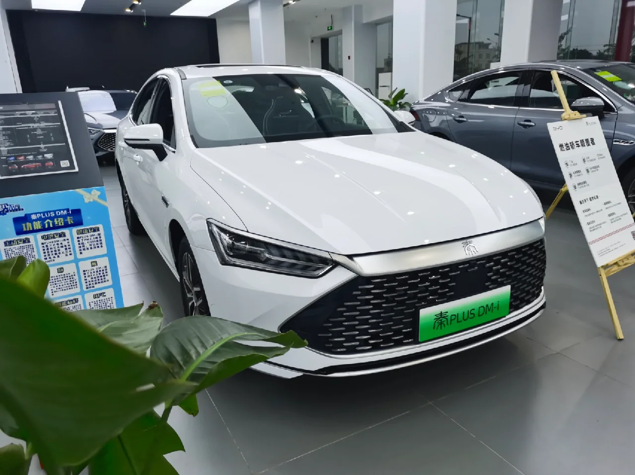 秦PLUS迪迪智拍行車記錄儀離線使用能否錄像?