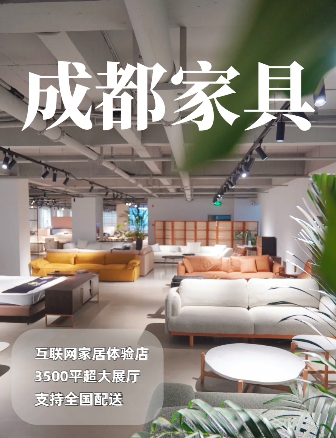 成都家具品牌排名是怎樣的