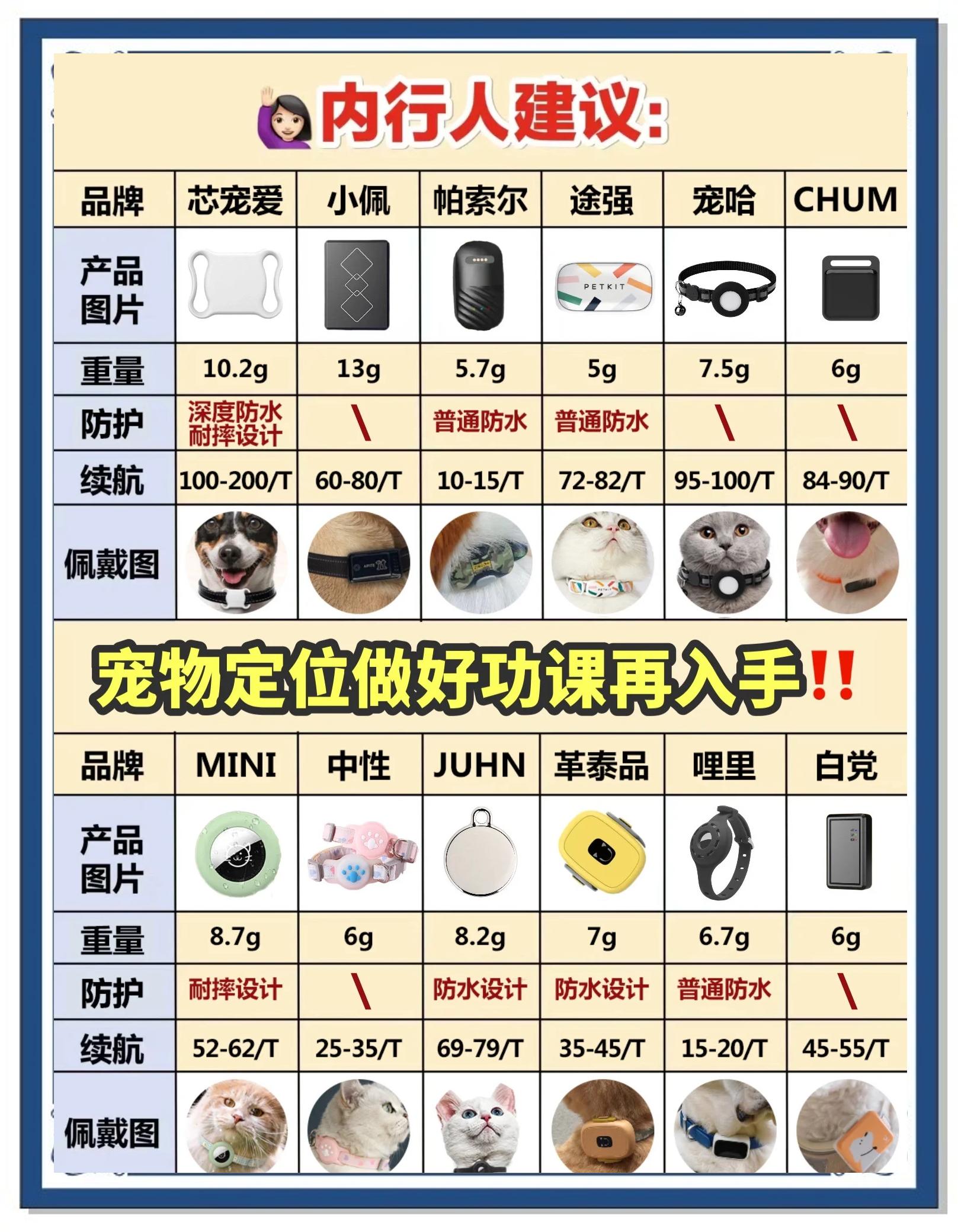 2024年桌面寵物軟件下載量排行榜出爐!-軟件技巧
