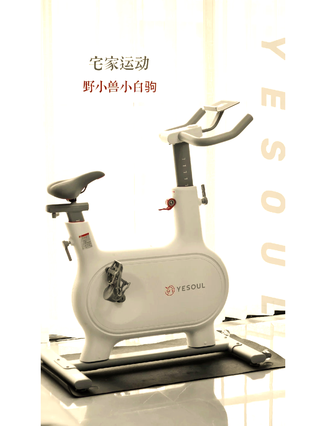 野小獸動(dòng)感單車京東優(yōu)惠,原價(jià)3499現(xiàn)1999_行情