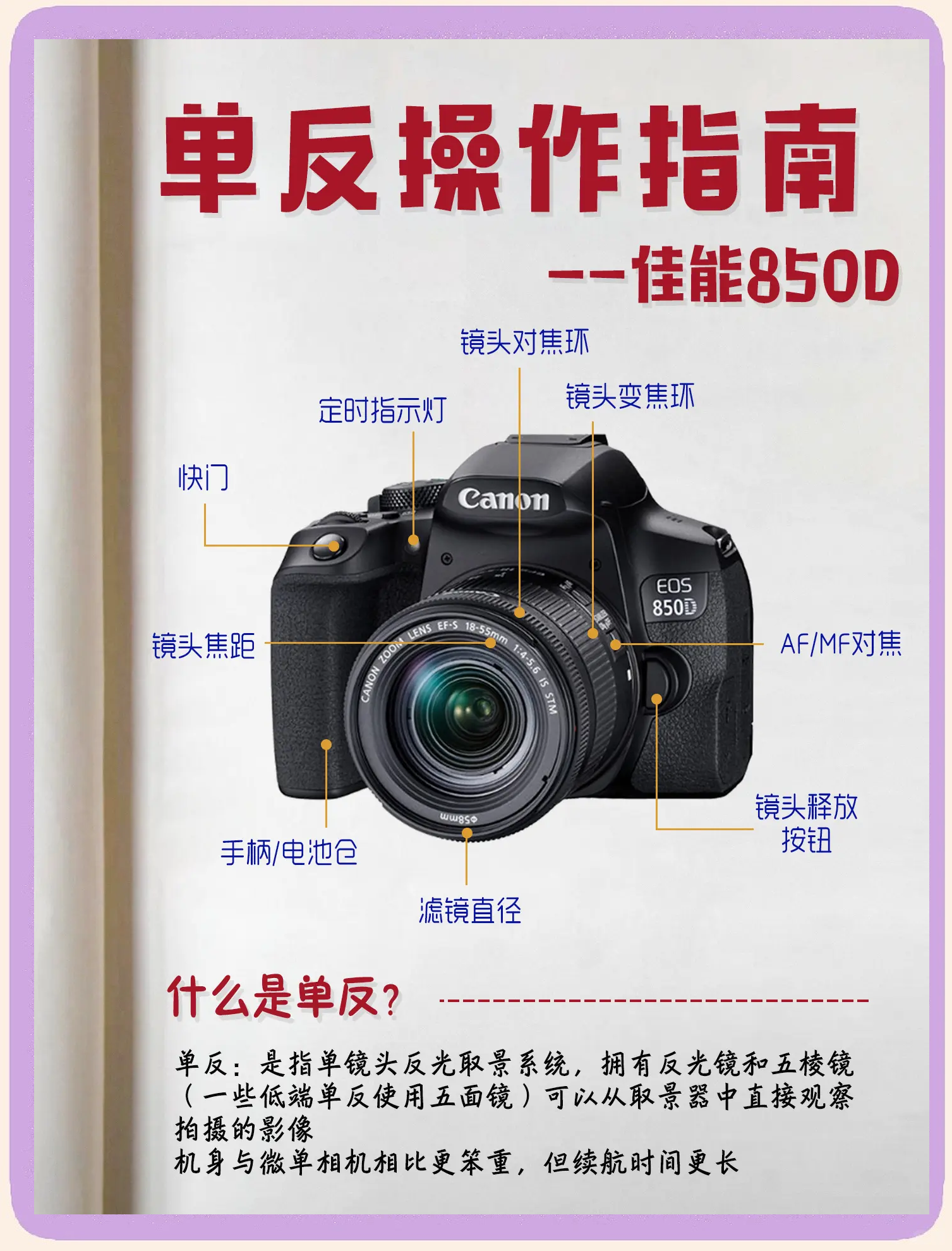 尼康(Nikon)D800E單機數(shù)碼相機產(chǎn)品特性評測
