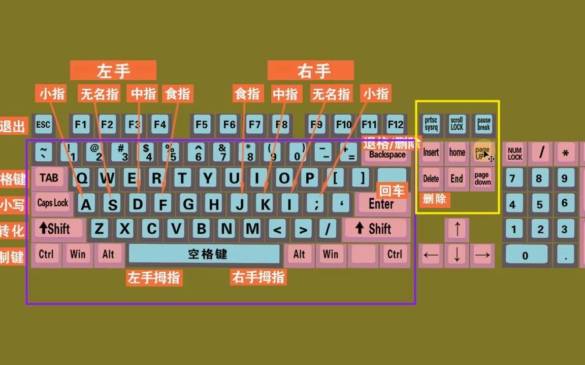 【八哥五筆打字員怎么用】八哥五筆打字員好不好_使用技巧