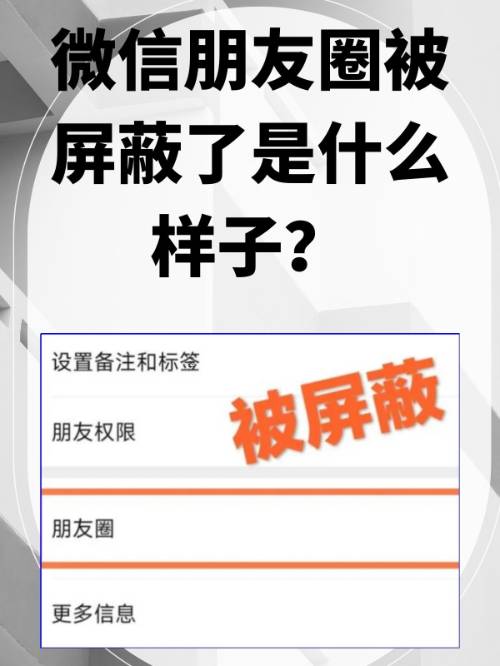 為什么微信沒(méi)有朋友圈??設(shè)置,通用里頭也沒(méi)有?