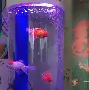 【魚缸計(jì)算器】魚缸計(jì)算器1.01綠色免費(fèi)版