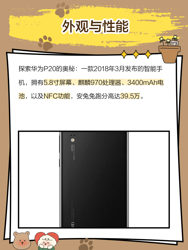 華為P20Pro和華為P20哪個好?-華為P20Pro
