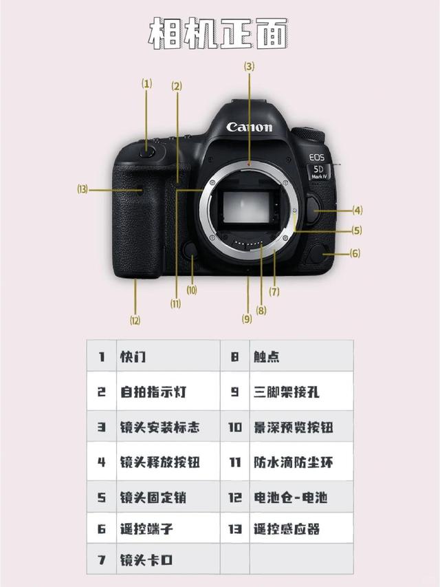 佳能5D4報價_佳能5D4參數(shù)_圖片_口碑