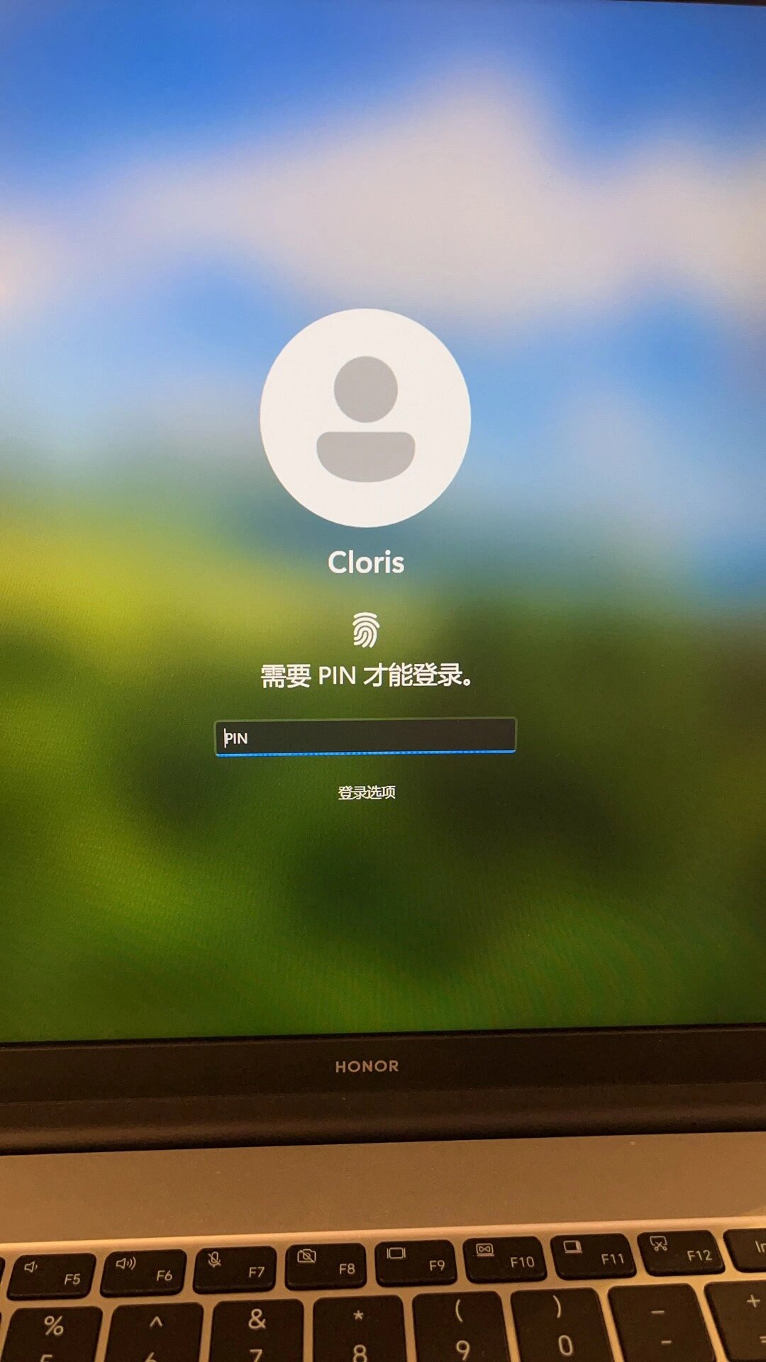 華碩電腦開(kāi)機(jī)時(shí)要輸入pin,這pin是什么意思?