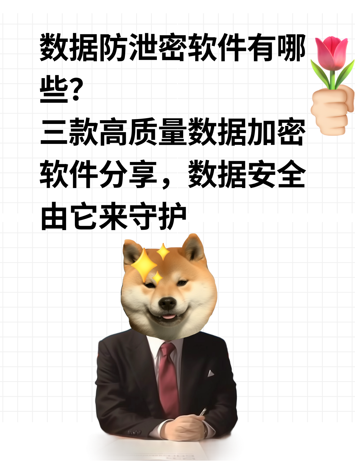 2024年十款必備的加密解密軟件:保護你的數(shù)據(jù)安全