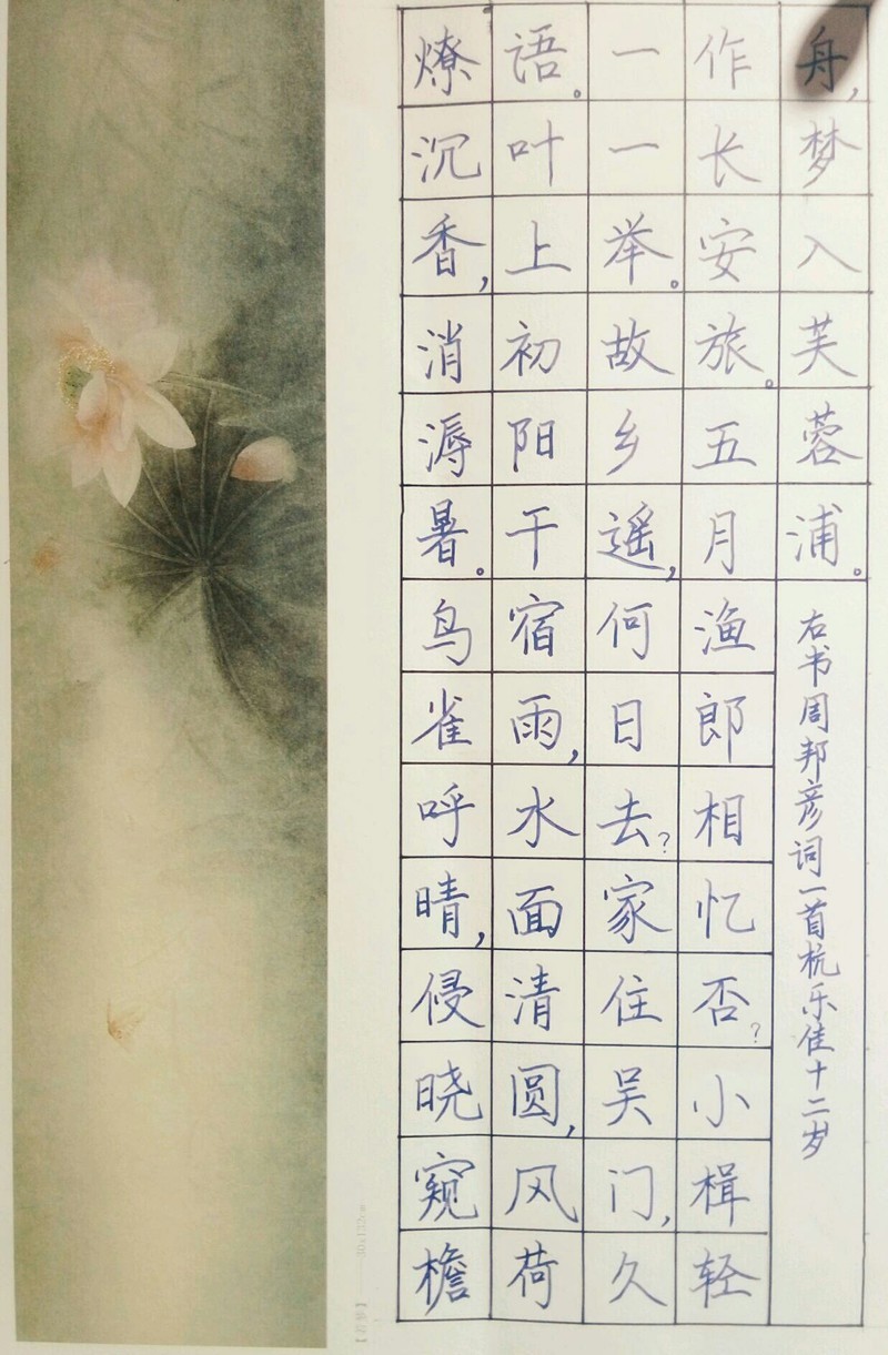 【風致官網介紹】風致手機車載配件風致(中國)公司簡介