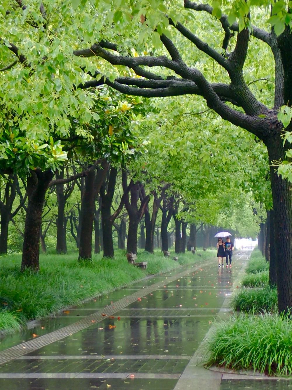 請(qǐng)問(wèn)上海市浦東新區(qū)北艾路1200弄郵編是多少?