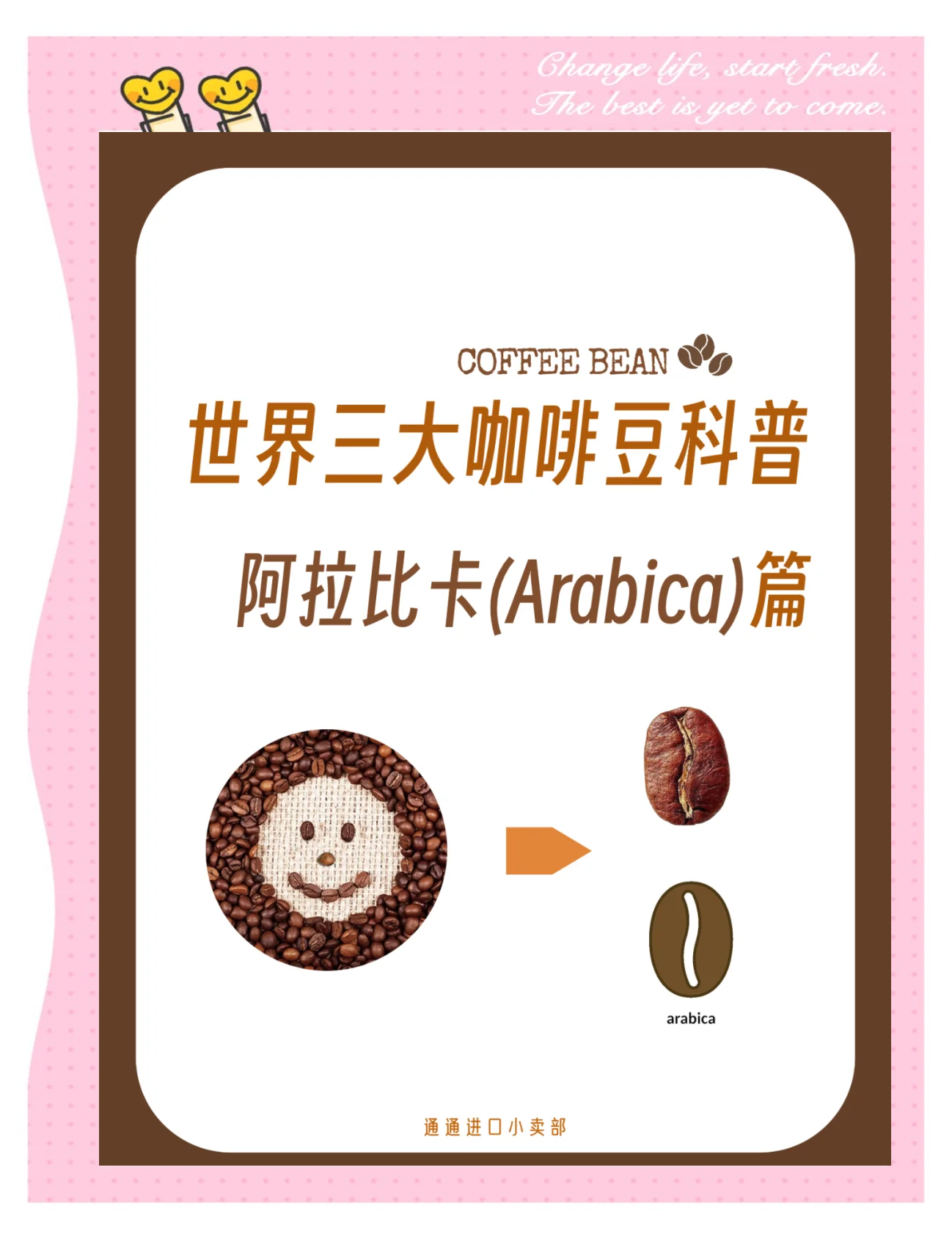 咖啡豆阿拉比卡種(coffeaarabica)