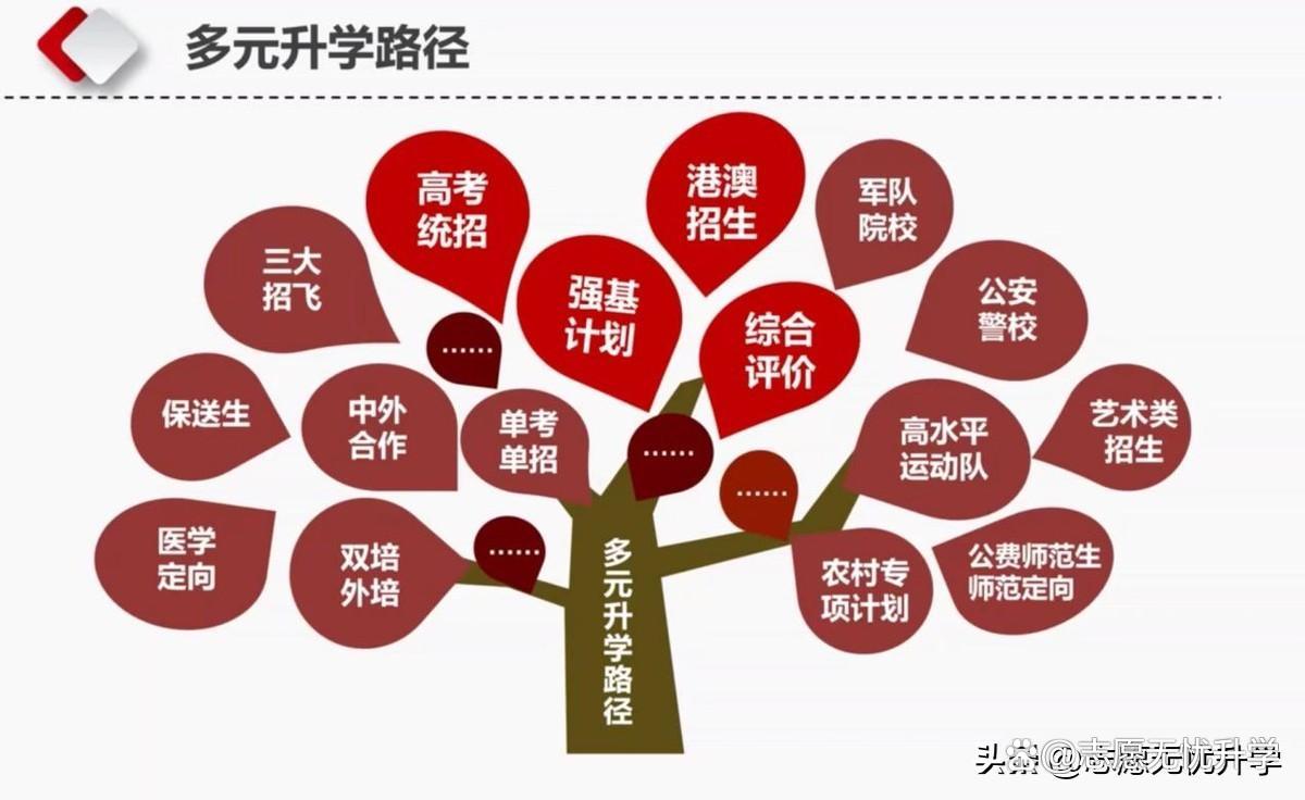 解碼廣東企業(yè)出海多元路徑,依托口岸資源開拓全球市場(chǎng)