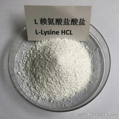 鹽酸特布他林CAS:23031-25-6原料定制發(fā)貨