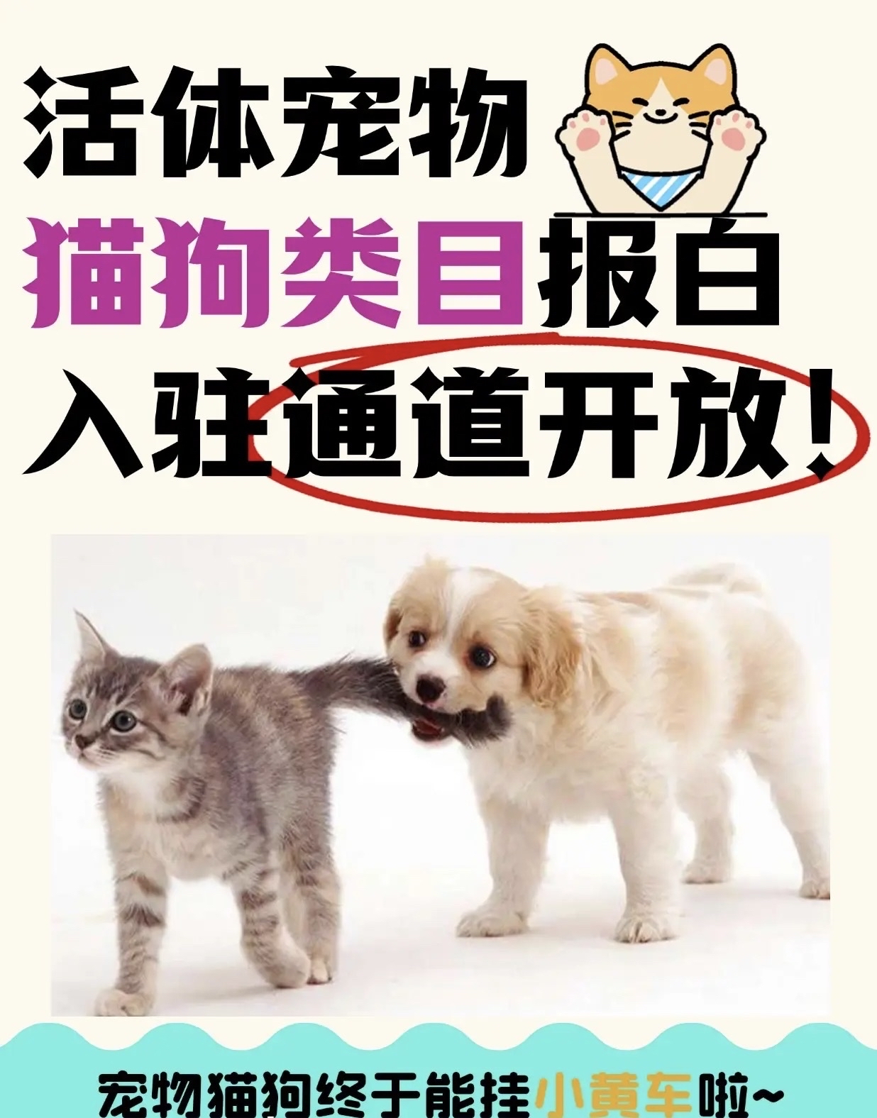 抖音寵物用品報(bào)白價(jià)格貴嗎?報(bào)白代開要注意什么?