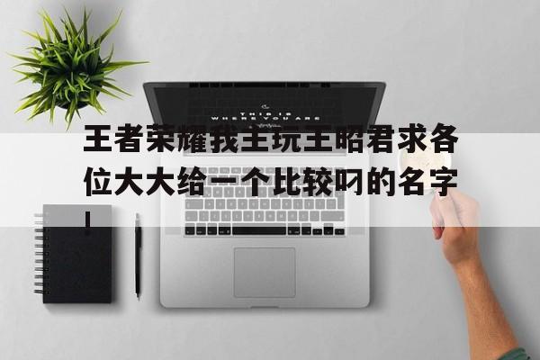 王者榮耀我主玩王昭君求各位大大給一個比較叼的名字!